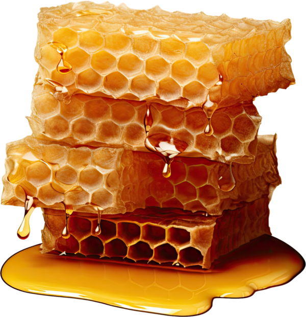 🌟 Honey, Royal Jelly, Bee Pollen, Palm Pollen, and Ginseng Blend - Image 2