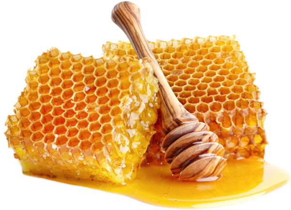 ✨Honey with Honeycomb✨ - Image 2