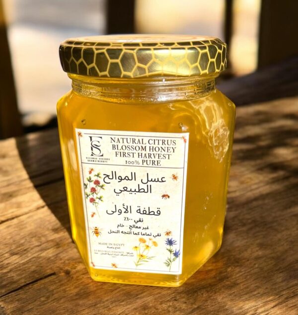 Royal Wellness Set – A Gift from the Hive - Image 5
